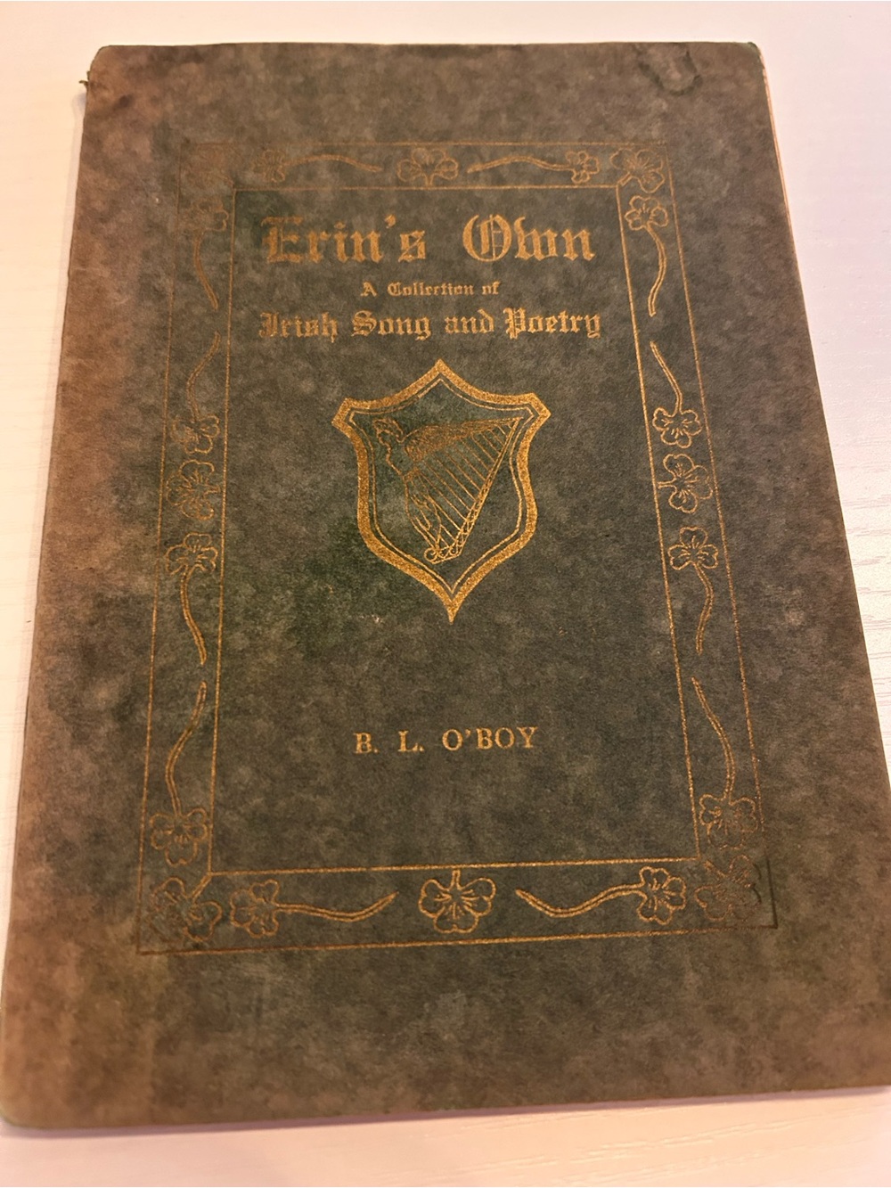 1916 1st Ed Erin's Own Irish Song Poetry B L O'Boy Westboro MA Shaughnessy Coll⁠